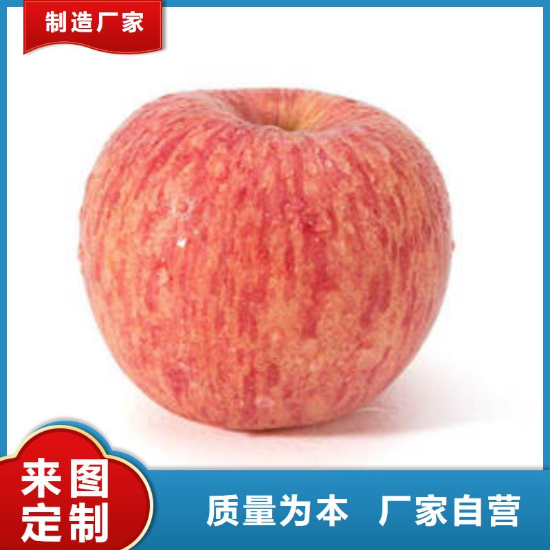内蒙古红富士苹果,嘎啦果实力优品