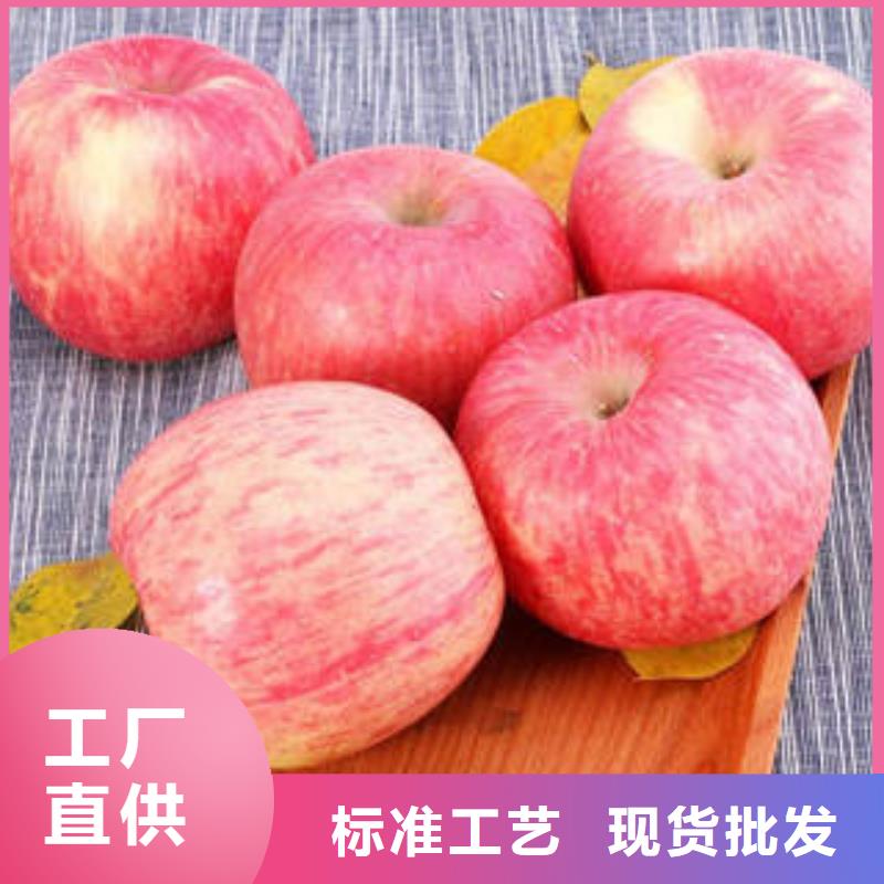 杭州红富士苹果,嘎啦苹果一个起售