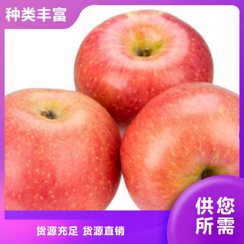 青海红富士苹果 【红富士苹果产地】源厂直接供货