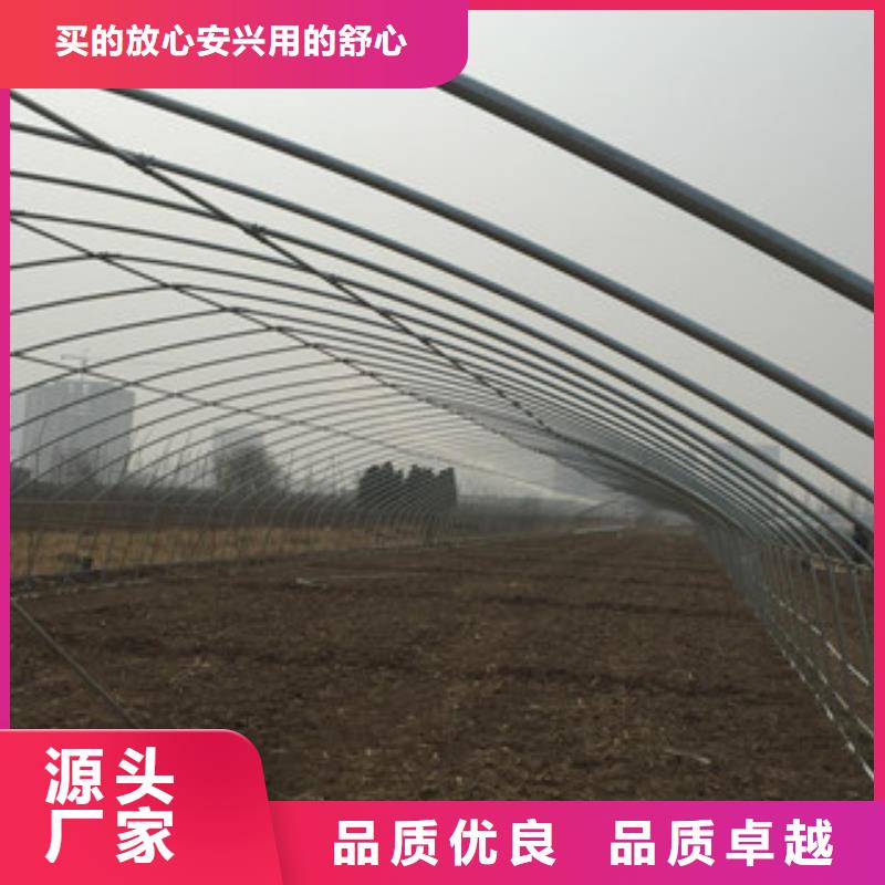 大棚管角钢精工打造当地经销商