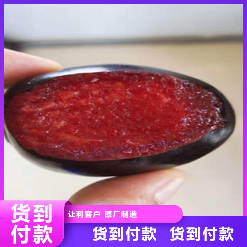 李子苗_葡萄苗不只是质量好专业完善售后