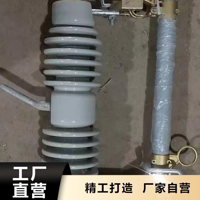 高压跌落式熔断器RW12-10/100A令克保险推荐商家