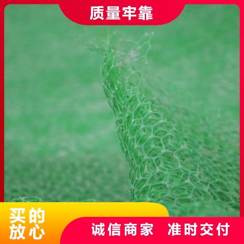 三维植被网_聚乙烯土工膜好品质用的放心生产经验丰富