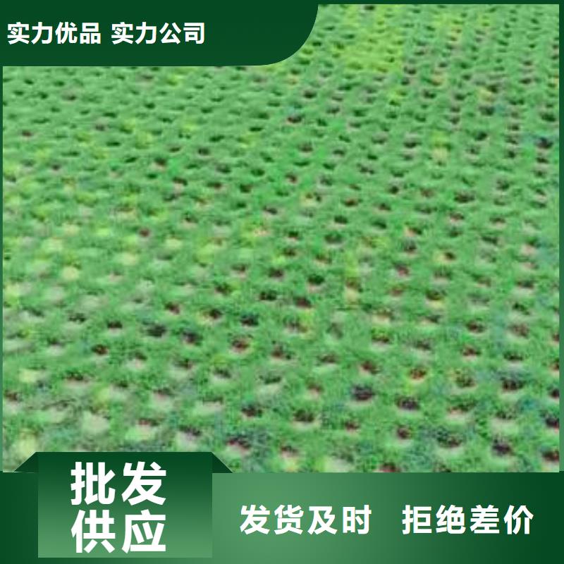 【植草格复合土工膜现货快速采购】一手货源源头厂家