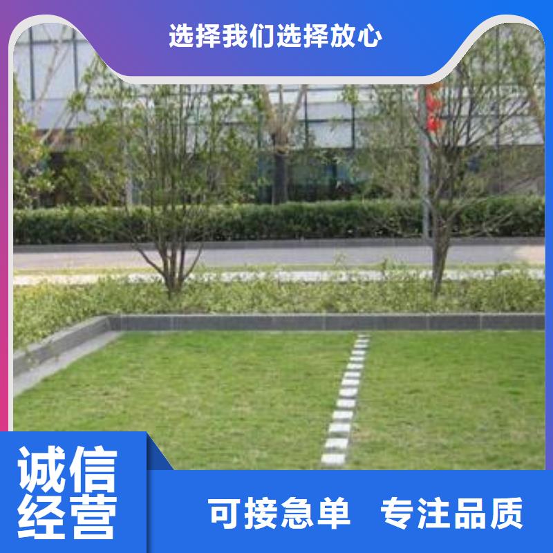 植草格_凸结点钢塑土工格栅信誉有保证当地厂家