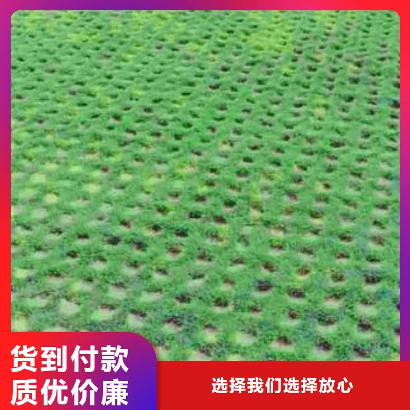 【植草格】膨润土防水毯信誉至上同城经销商