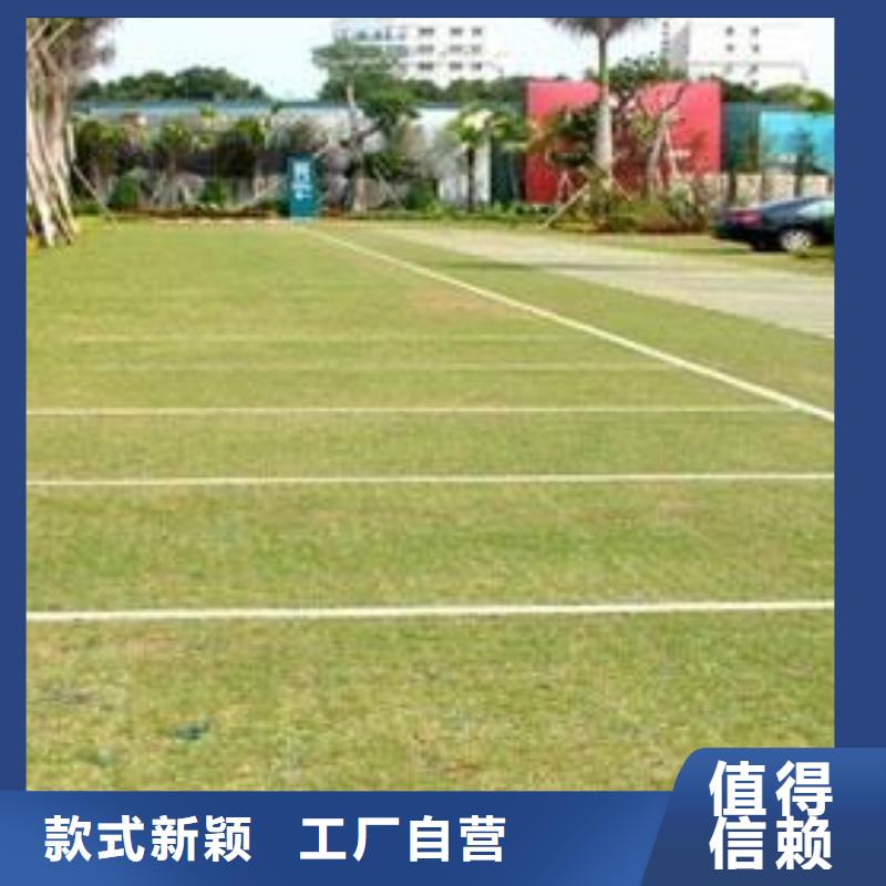 植草格三维土工网垫实拍品质保障当地制造商
