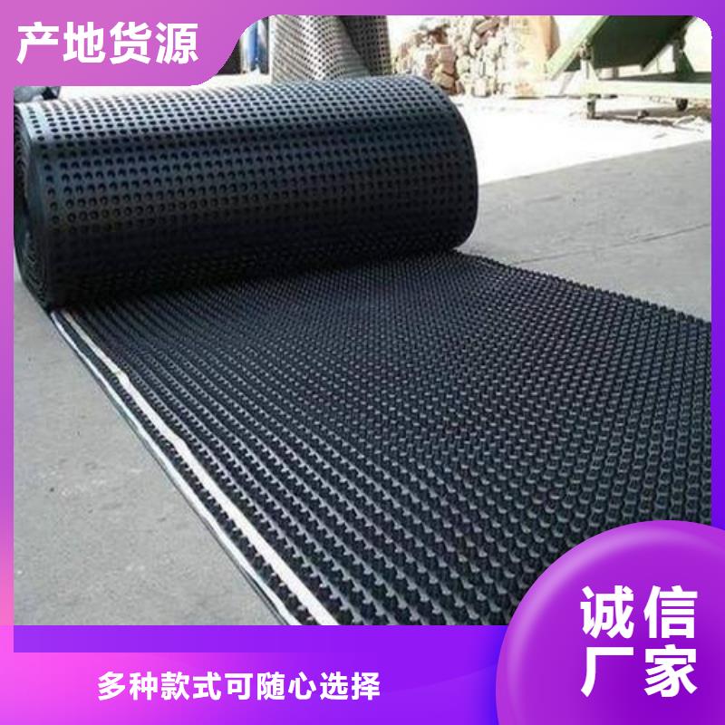 塑料排水板【玻纤土工格栅】诚信经营现货现发本地供应商