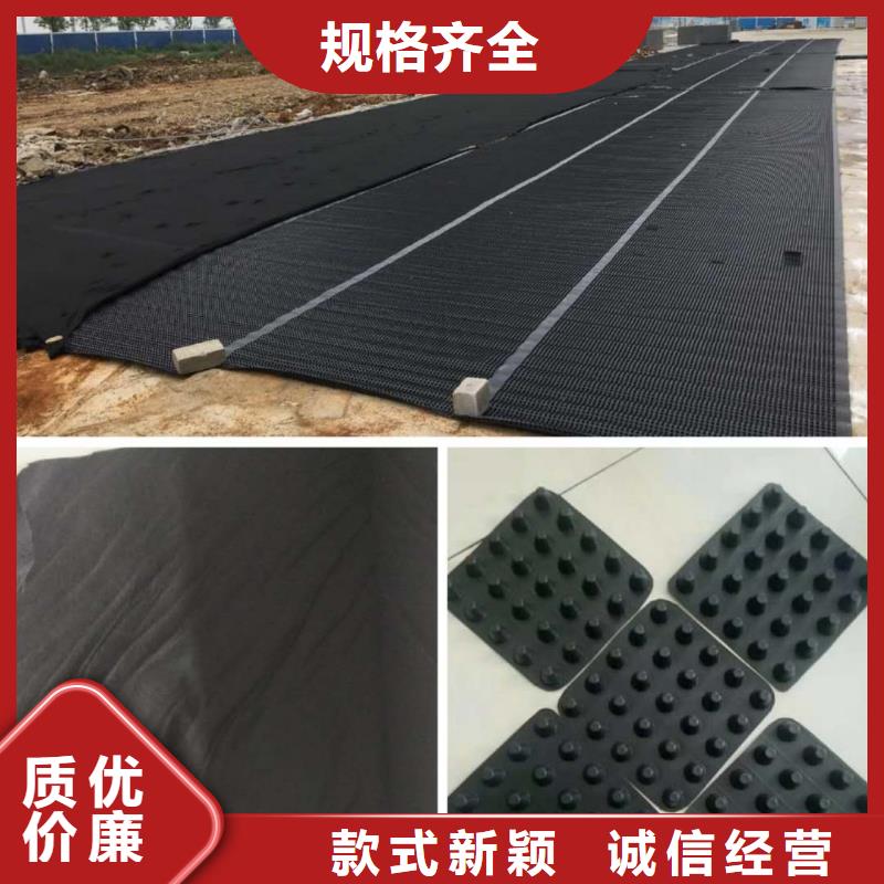 塑料排水板,护坡土工网低价货源源厂直接供货
