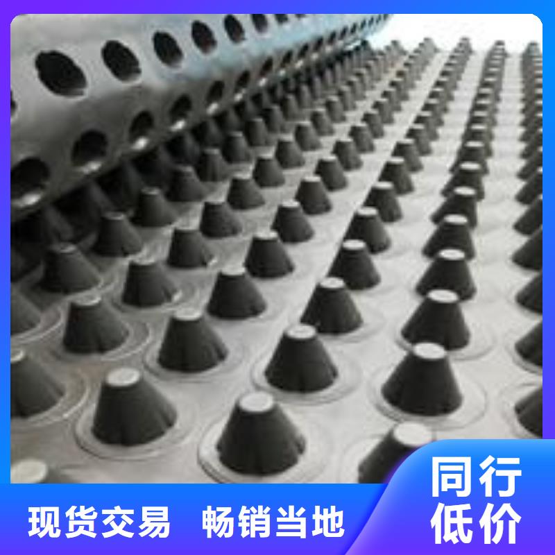 塑料排水板【三维土工网垫】用心制作制造厂家