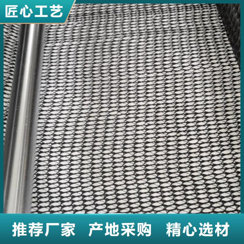 【三维复合排水网钢塑土工格栅超产品在细节】当地服务商