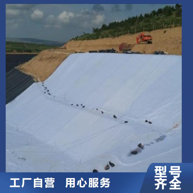 【三维复合排水网】_塑料土工格栅规格型号全制造厂家