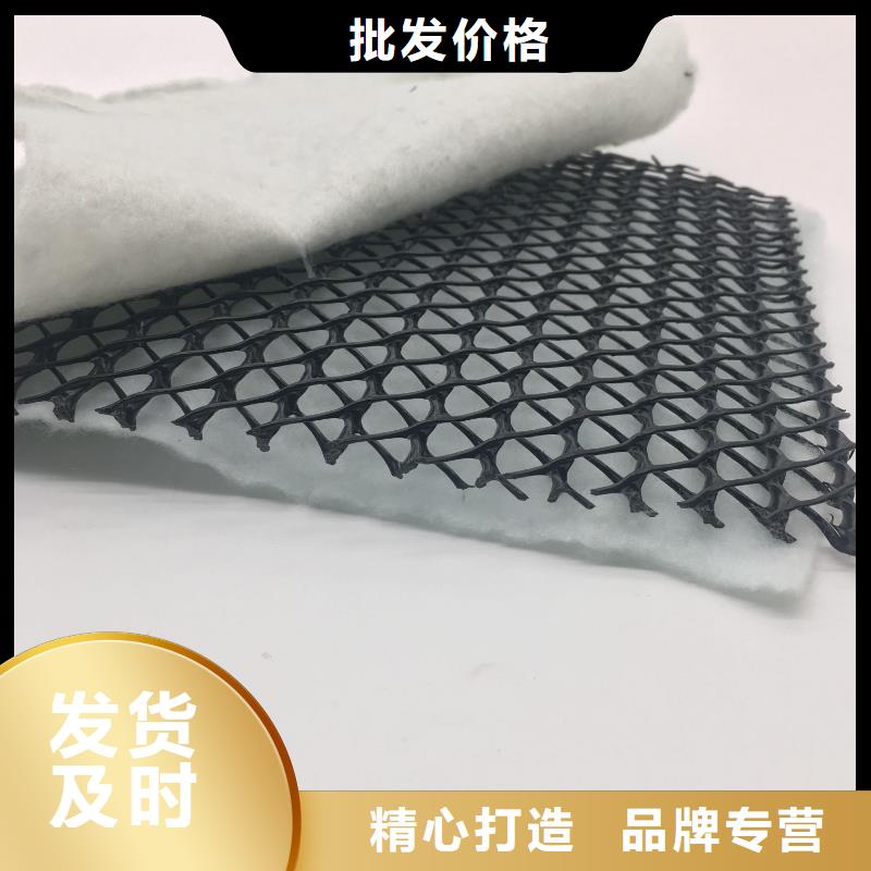 三维复合排水网_三维土工网垫实力见证设备齐全支持定制
