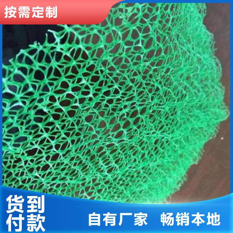 三维植被网渗排水片材诚信为本本地公司