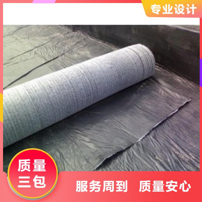 防水毯-土工席垫打造行业品质专业信赖厂家