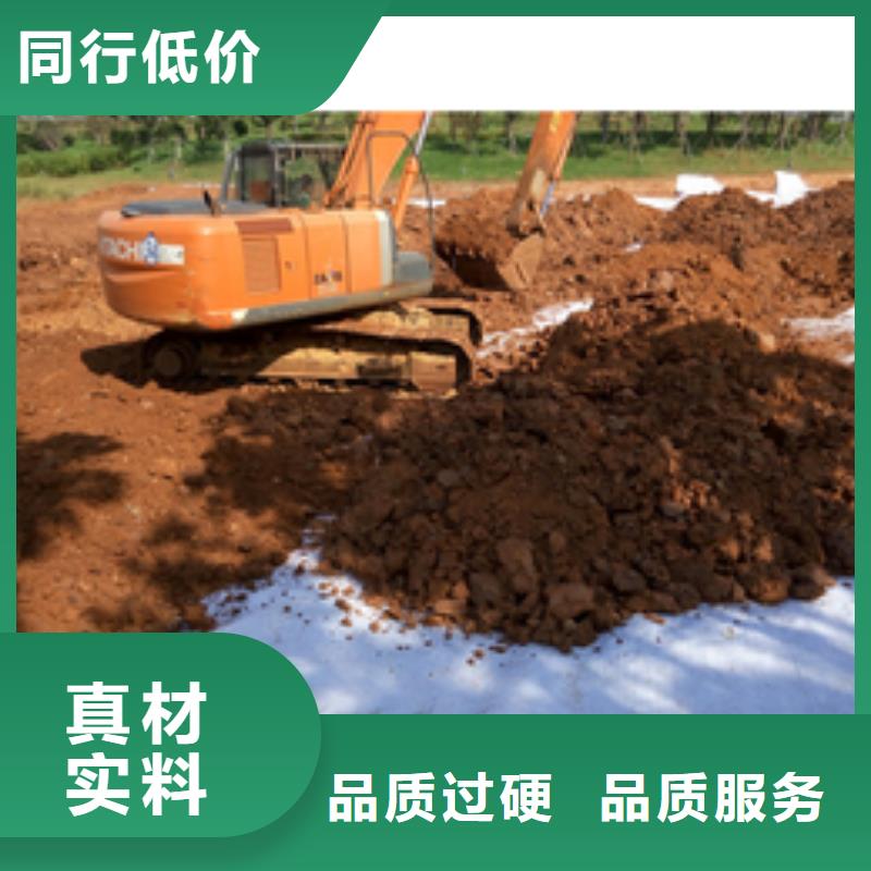 防水毯双向塑料土工格栅批发商当地厂家