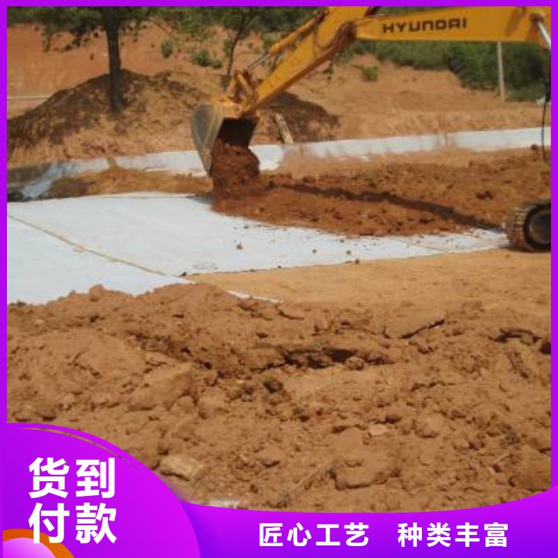 防水毯【长丝无纺土工布】质量牢靠同城制造商