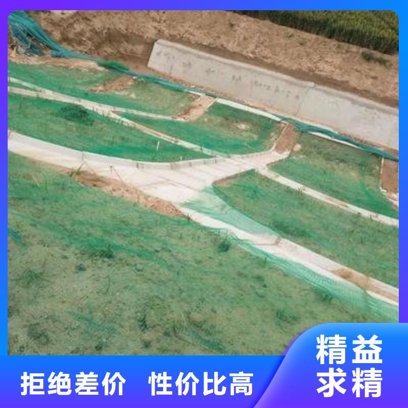 三维植被网_承接绿化工程_教施工当地生产厂家