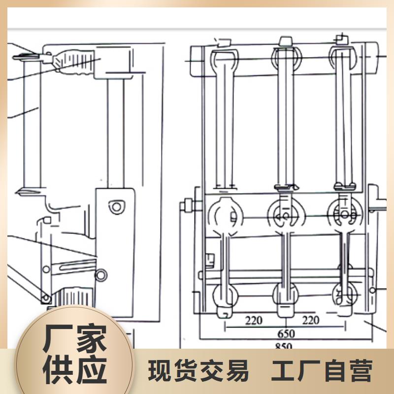 FKRN-12/50高压负荷开关当地服务商