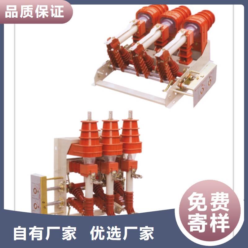 FN21-12/125-31.5高压负荷开关厂家当地经销商