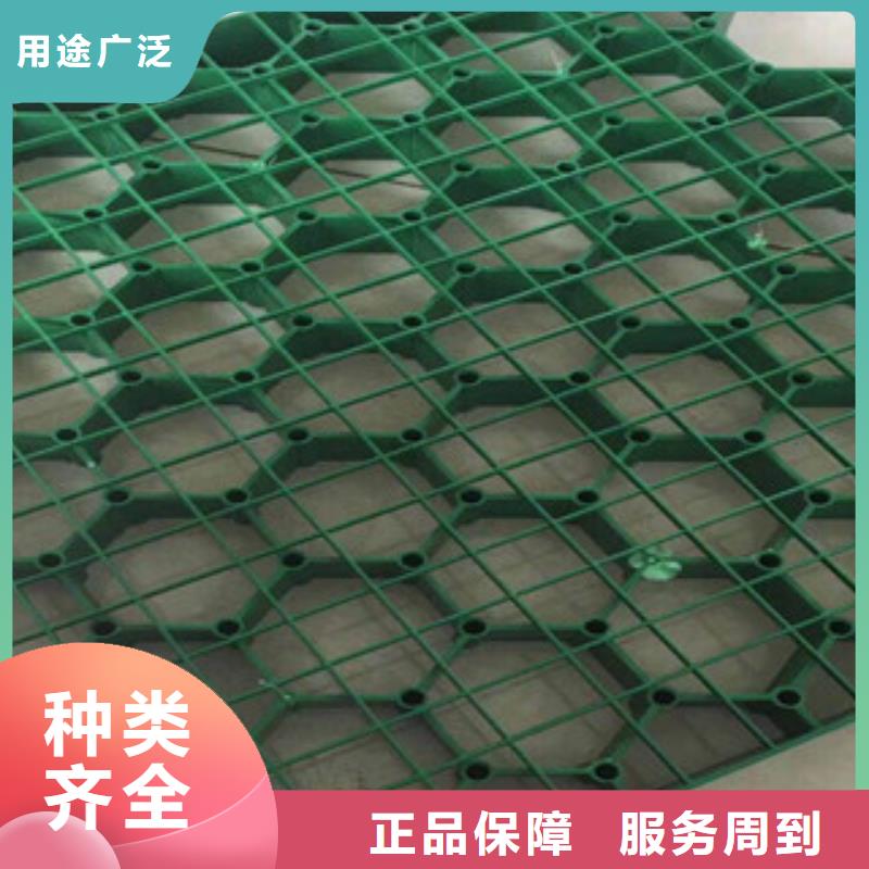 环保植草格土工膜厂家重信誉厂家本地生产厂家