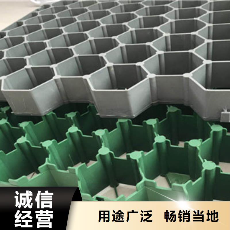 【环保植草格_植草格厂家货源足质量好】材质实在