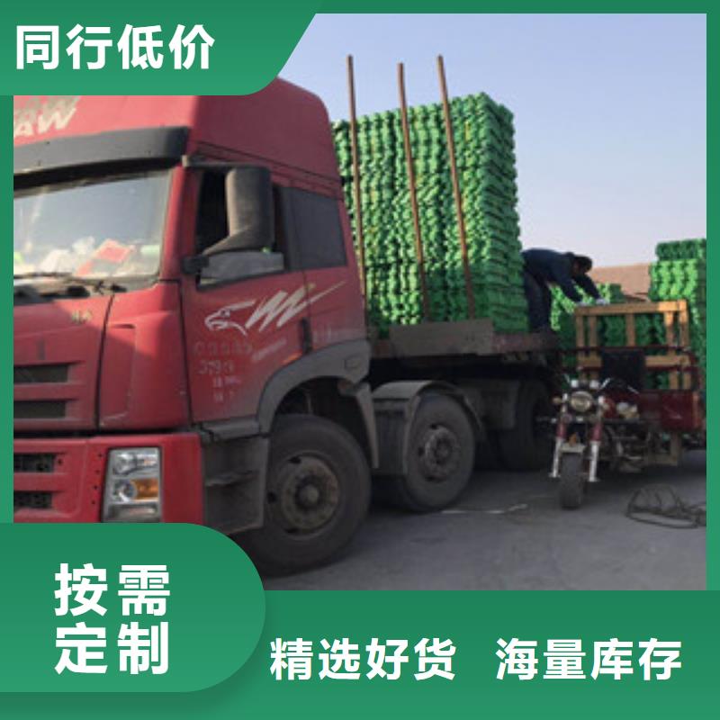 环保植草格植草格厂家支持货到付清好品质经得住考验