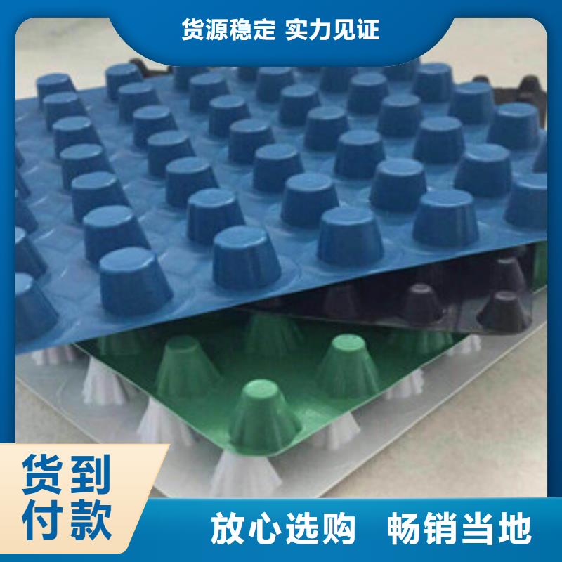 塑料排水板_蓄排水板厂家多种工艺当地品牌