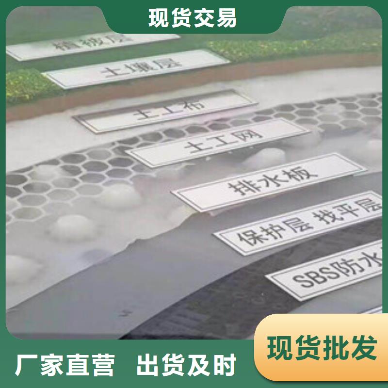 塑料排水板_【排水板厂家】多年经验值得信赖本地货源