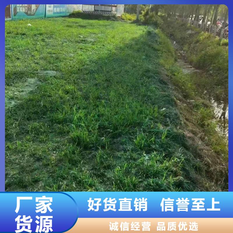 抑塵劑色素廠家供應符合行業標準