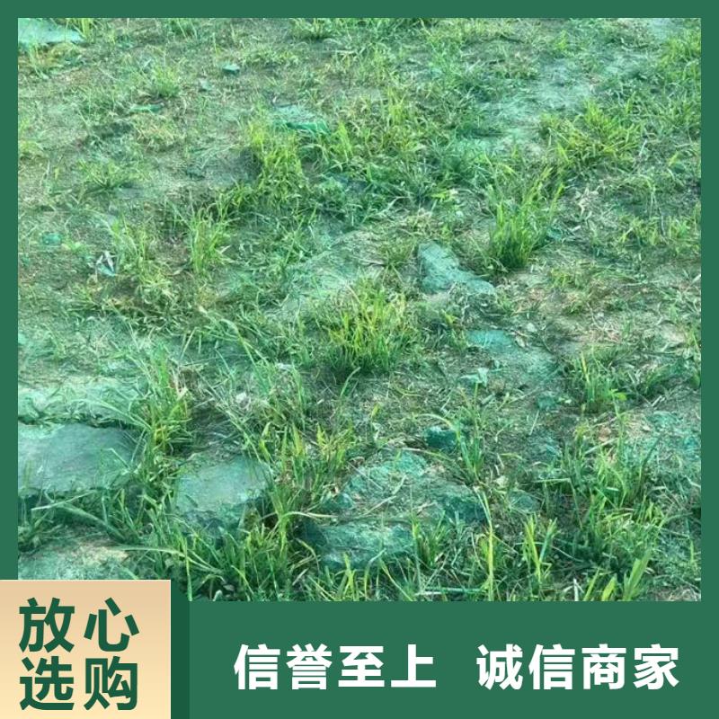 煤炭運輸抑塵劑廠家型號齊全買的是放心