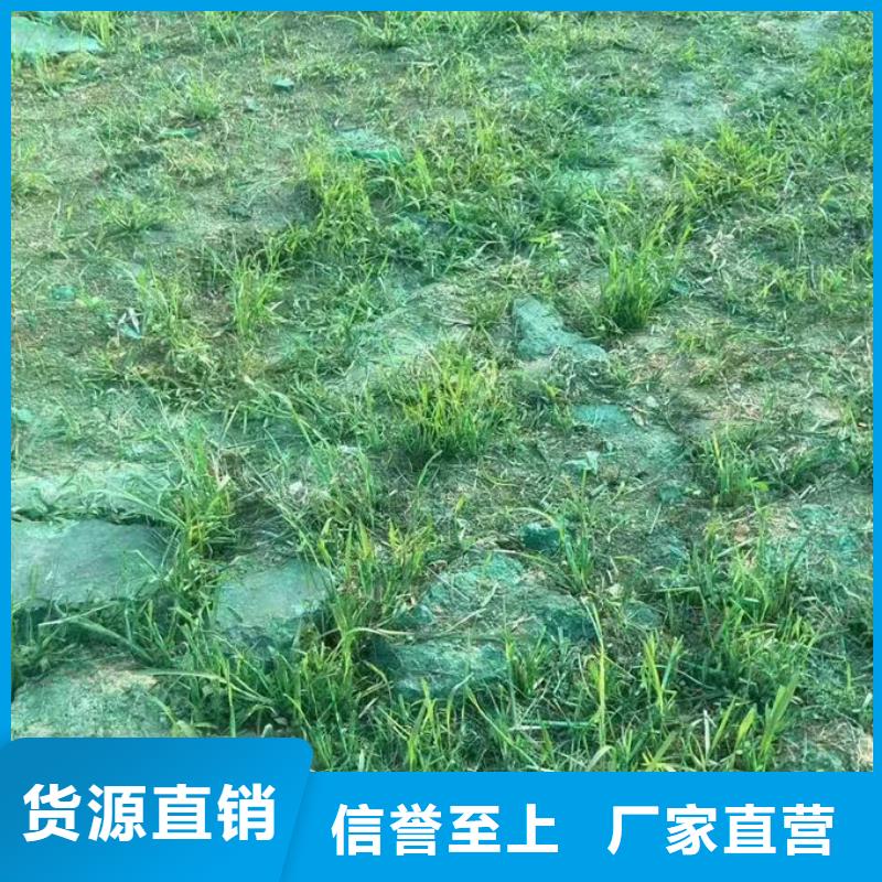 环保结壳抑尘剂精心货源充足