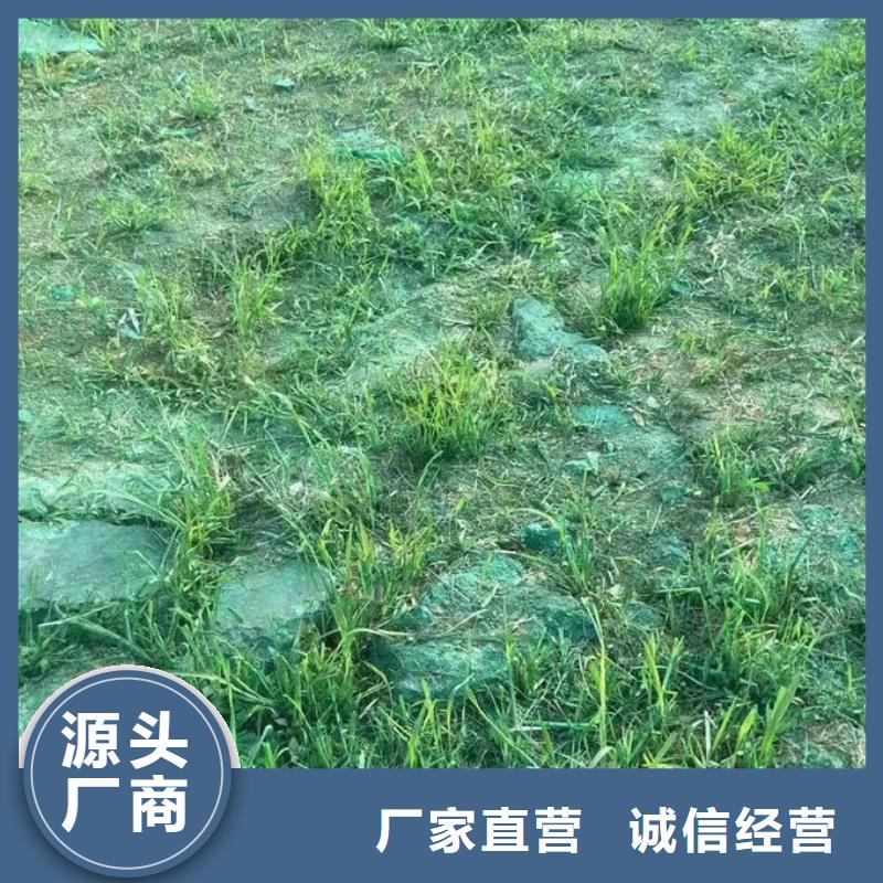 抑塵劑色素產(chǎn)地工廠實(shí)力大廠家