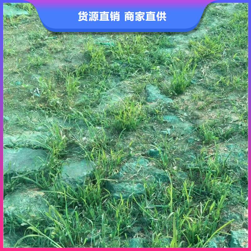 大氣污染治理抑塵劑源頭廠家規(guī)格齊全實(shí)力廠家