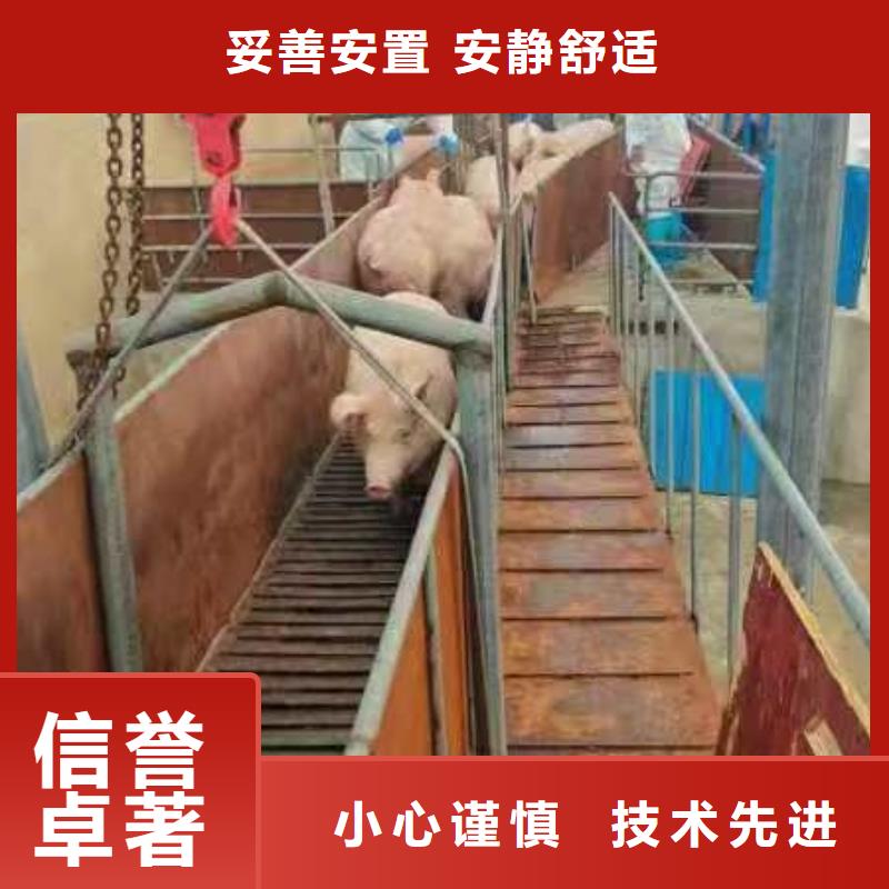 ?宿遷市到宣城牛運輸專用車順暢