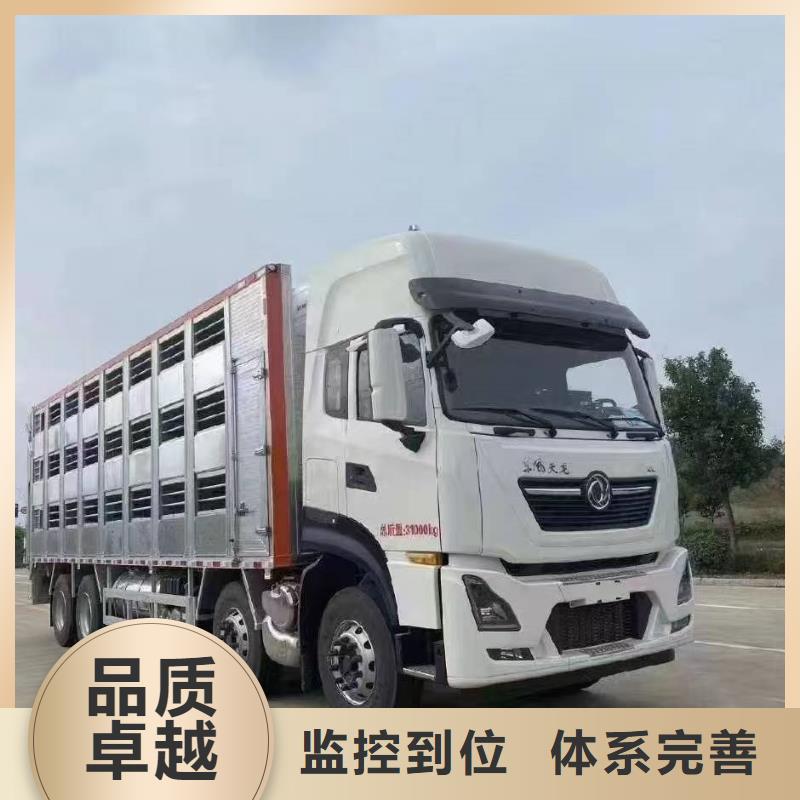 淮安到肇慶牛運輸專用車可靠