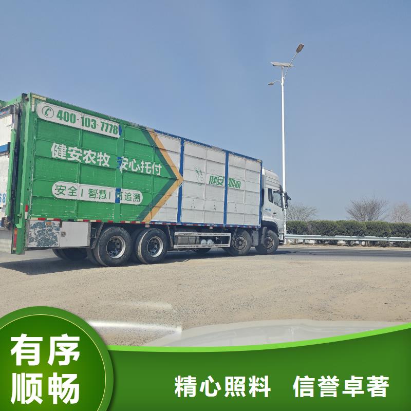 宿遷市沭陽到宣城農牧運輸妥善安置