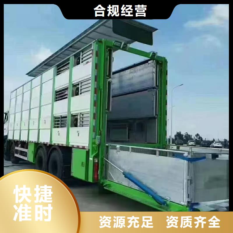 宿迁市泗洪到盐城猪笼车运输创新进取