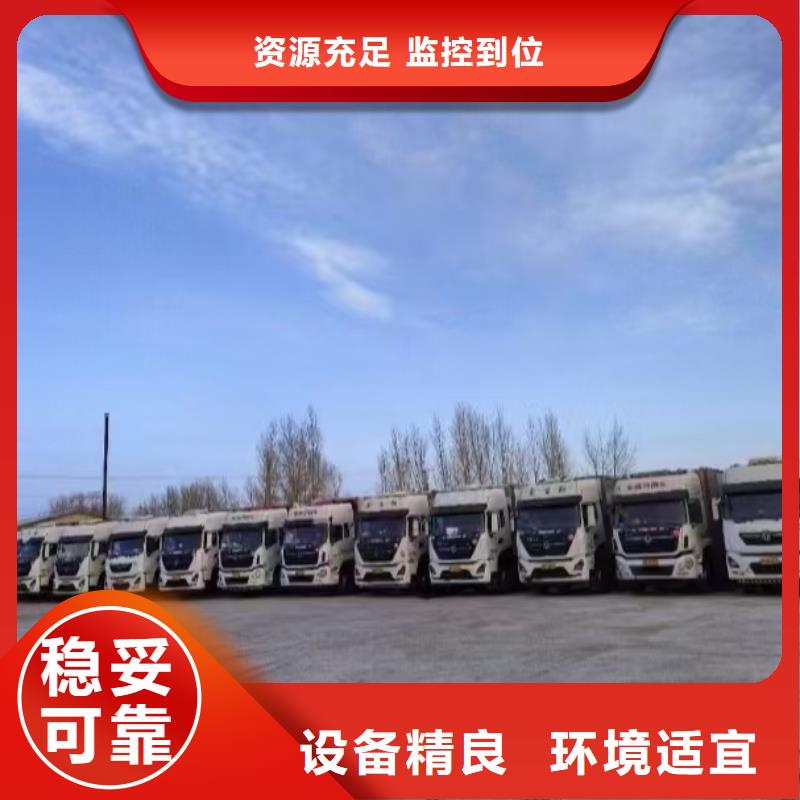宿遷到奎文活禽運(yùn)輸耐心細(xì)致