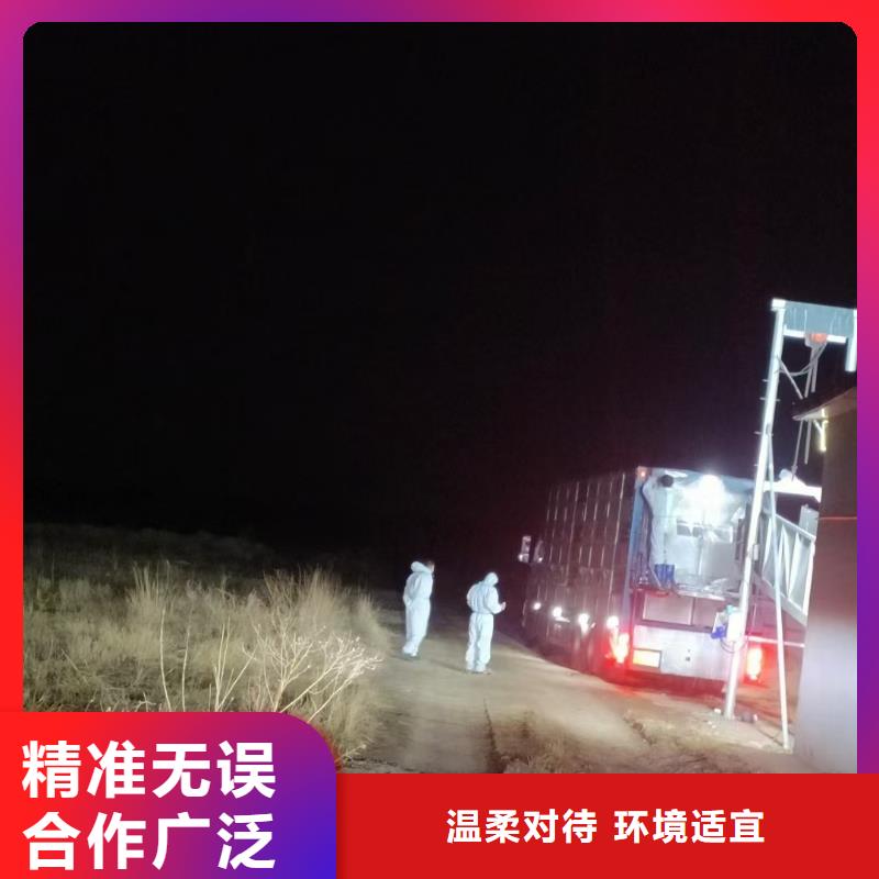 德州到广东二育运输合规经营
