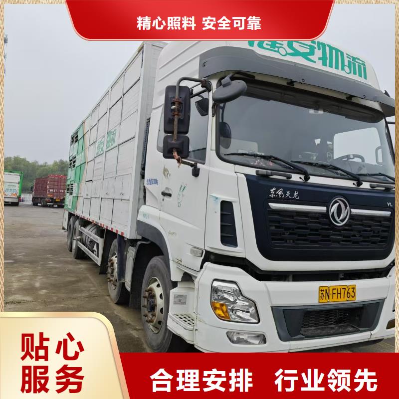 蕪湖到紹興仔豬運(yùn)輸有序順暢