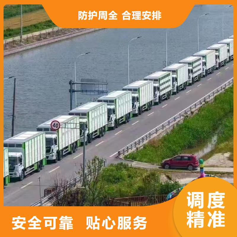 宿迁市到南阳畜禽运输及时送达