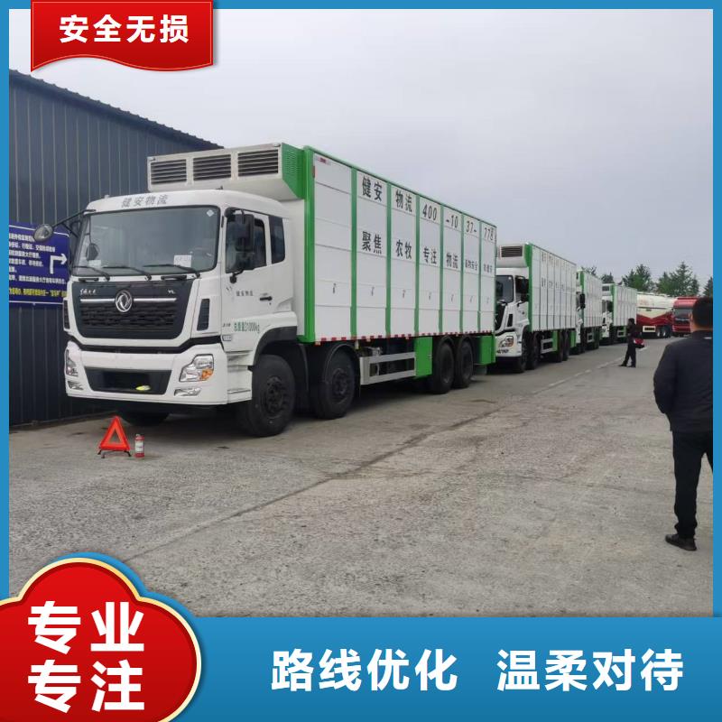 焦作到安慶種豬空調車運輸耐心細致