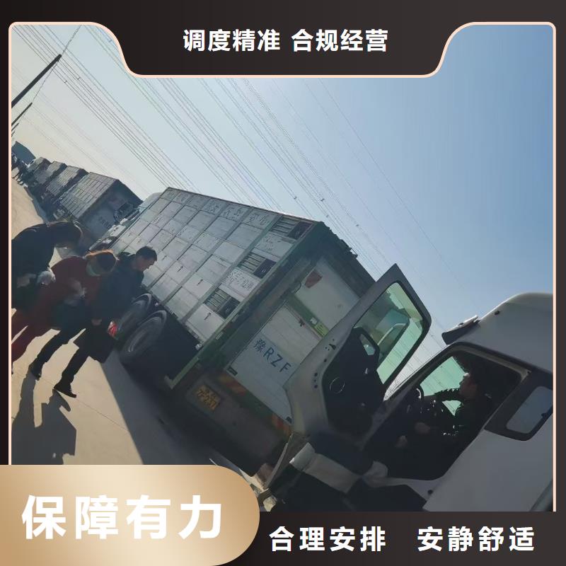 宿迁到宿迁仔猪空调车运输线上可查