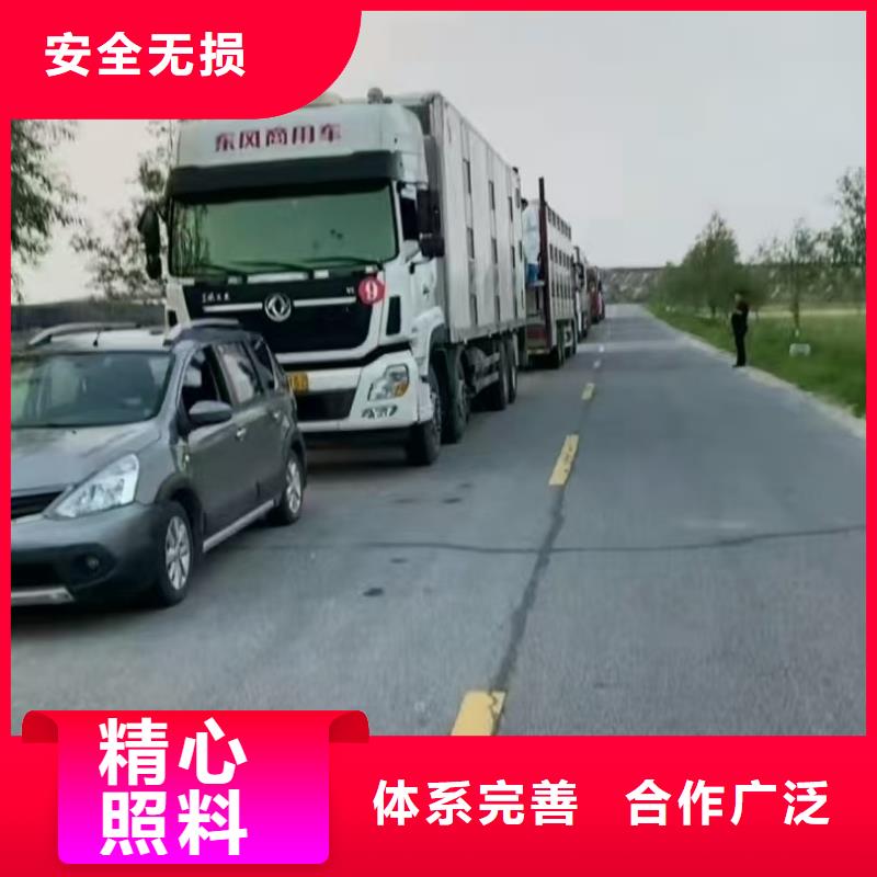 舟山到云浮生豬運輸防護周全