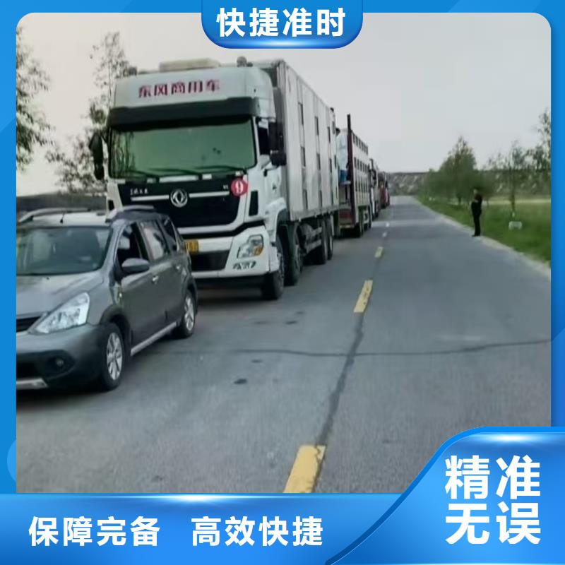 宿迁市泗洪到平顶山仔猪恒温车运输体系完善