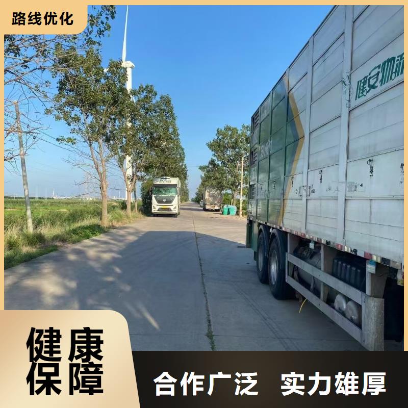 宿迁市到郑州二育运输周到细致