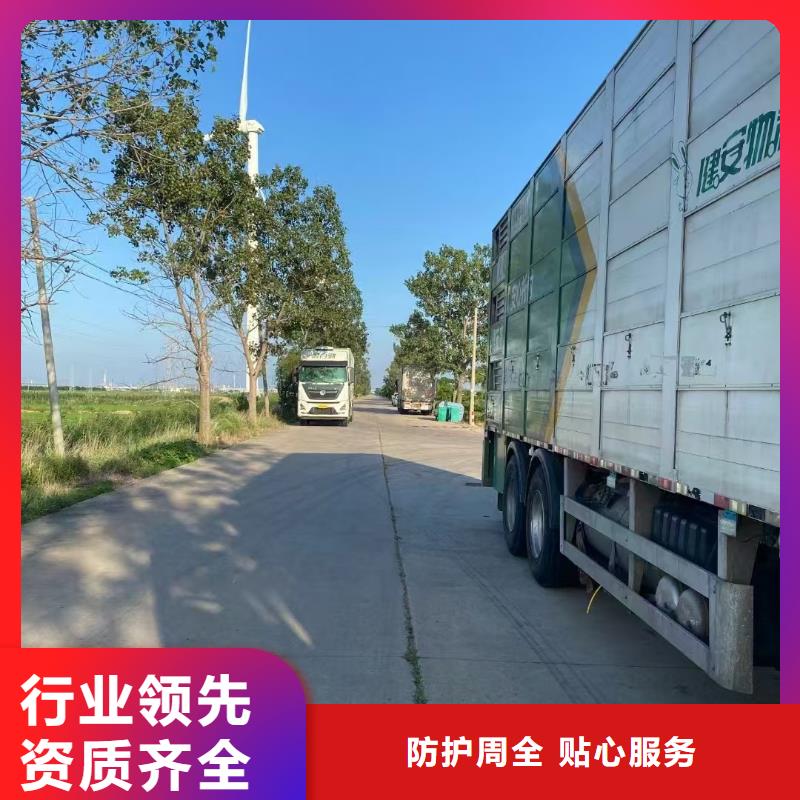 宿遷市沭陽到南陽仔豬運輸信譽良好