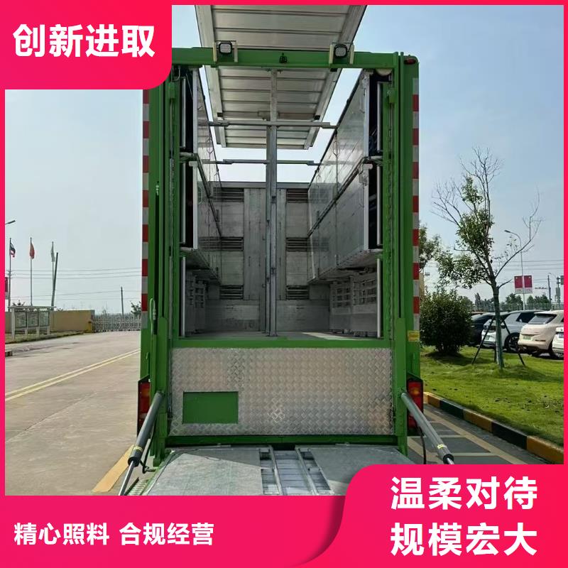 宿遷市到日照畜禽運輸保障完備