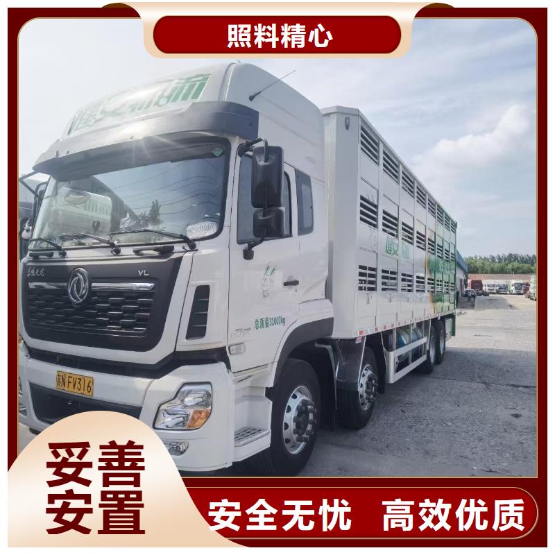棗莊到蚌埠牲畜運輸資質齊全